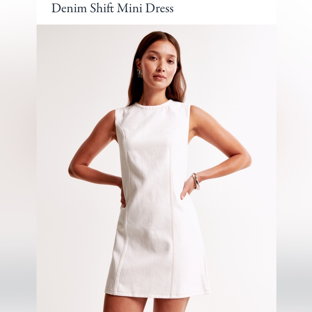 Abercrombie & Fitch Denim Shift Mini Dress